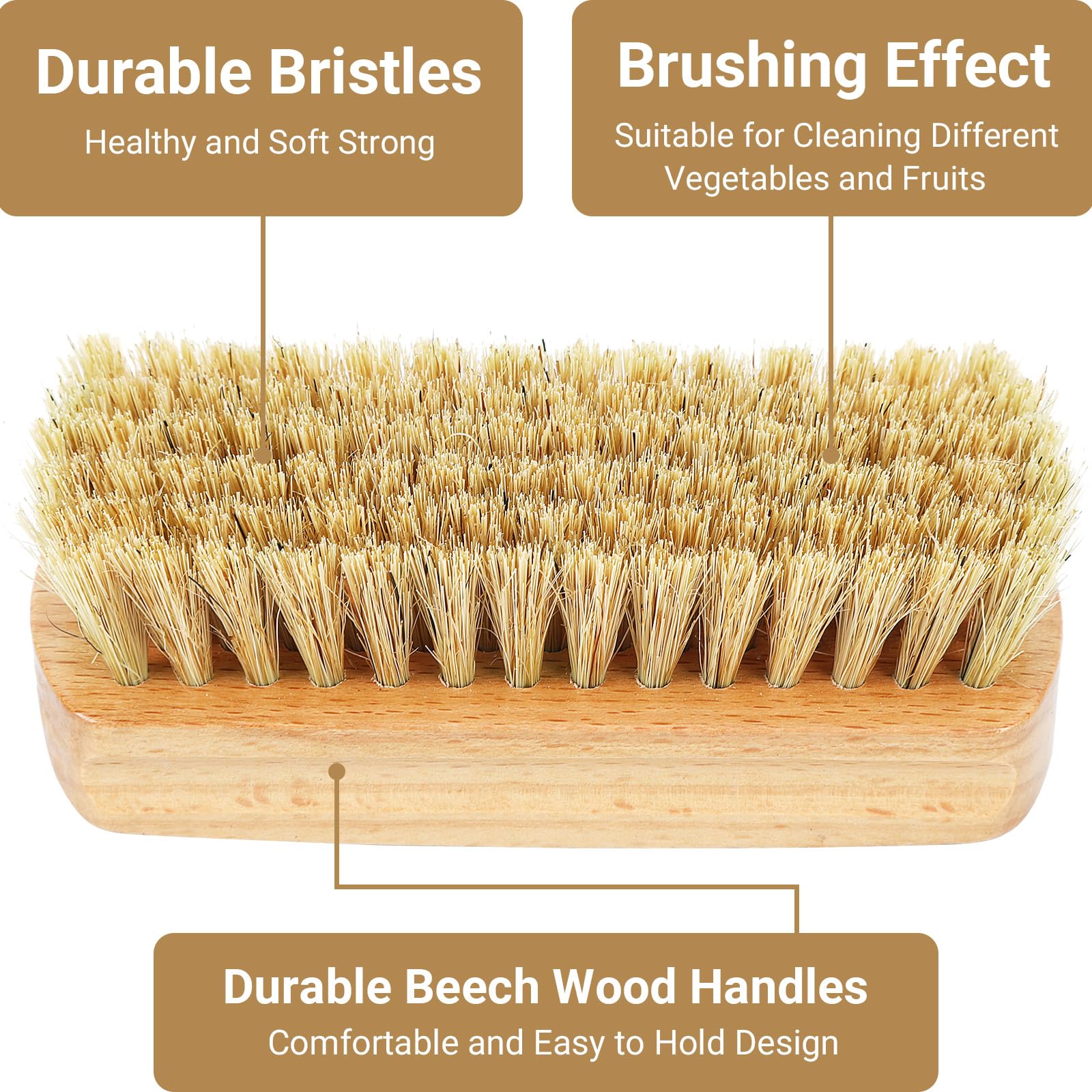 Organic Vegetable Brush Set - 3 Pack Potato & Carrot Scrubber for Fruits & Veggies | Eco-Friendly Kitchen Cleaning Tool for Cucumber, Apple, Sweet Potato | Dishwasher Safe Food Wash Brush