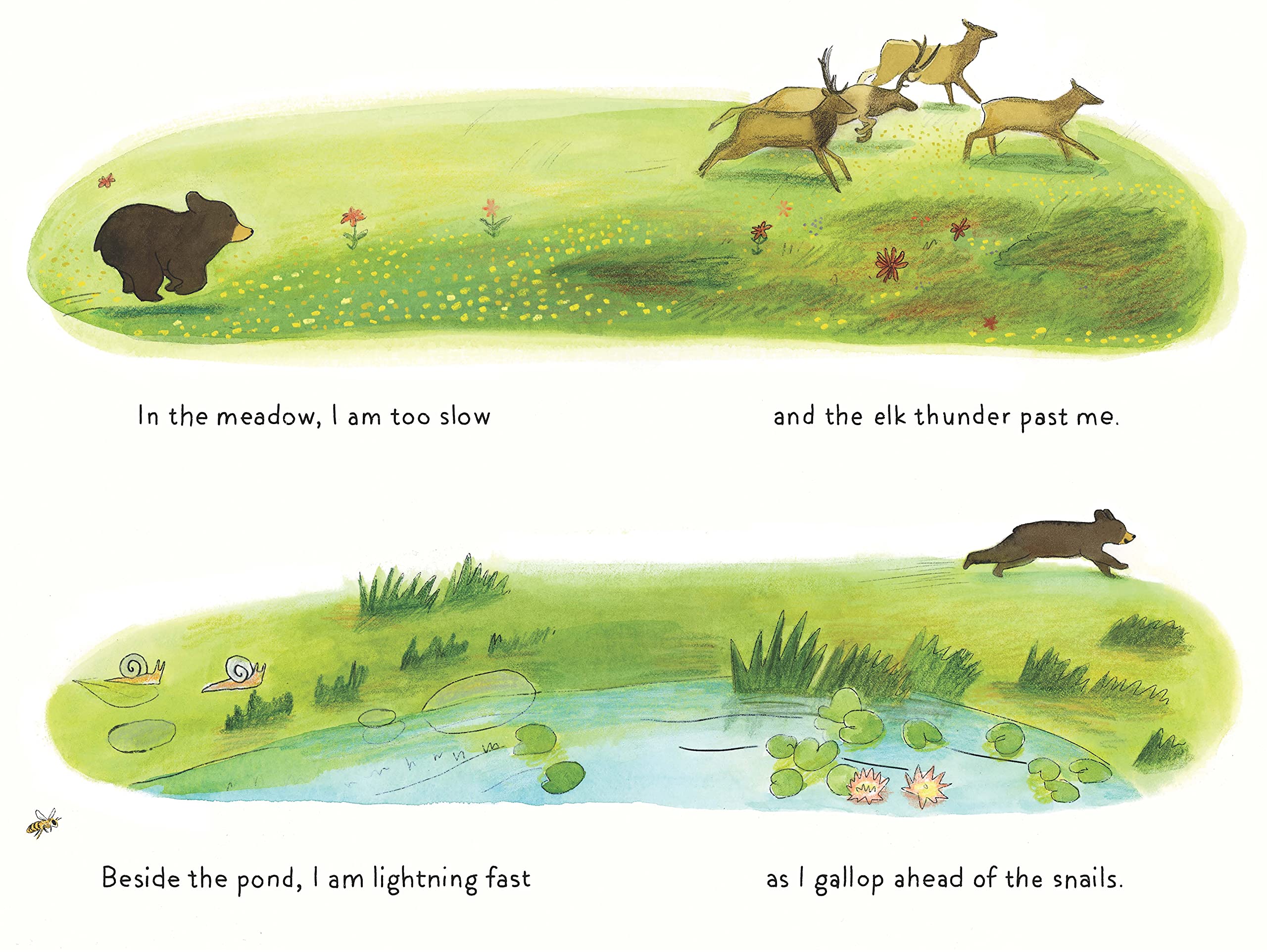 A Cub Story: Heartwarming Animal Tale for Kids - Perfect for Bedtime Reading and Family Storytime