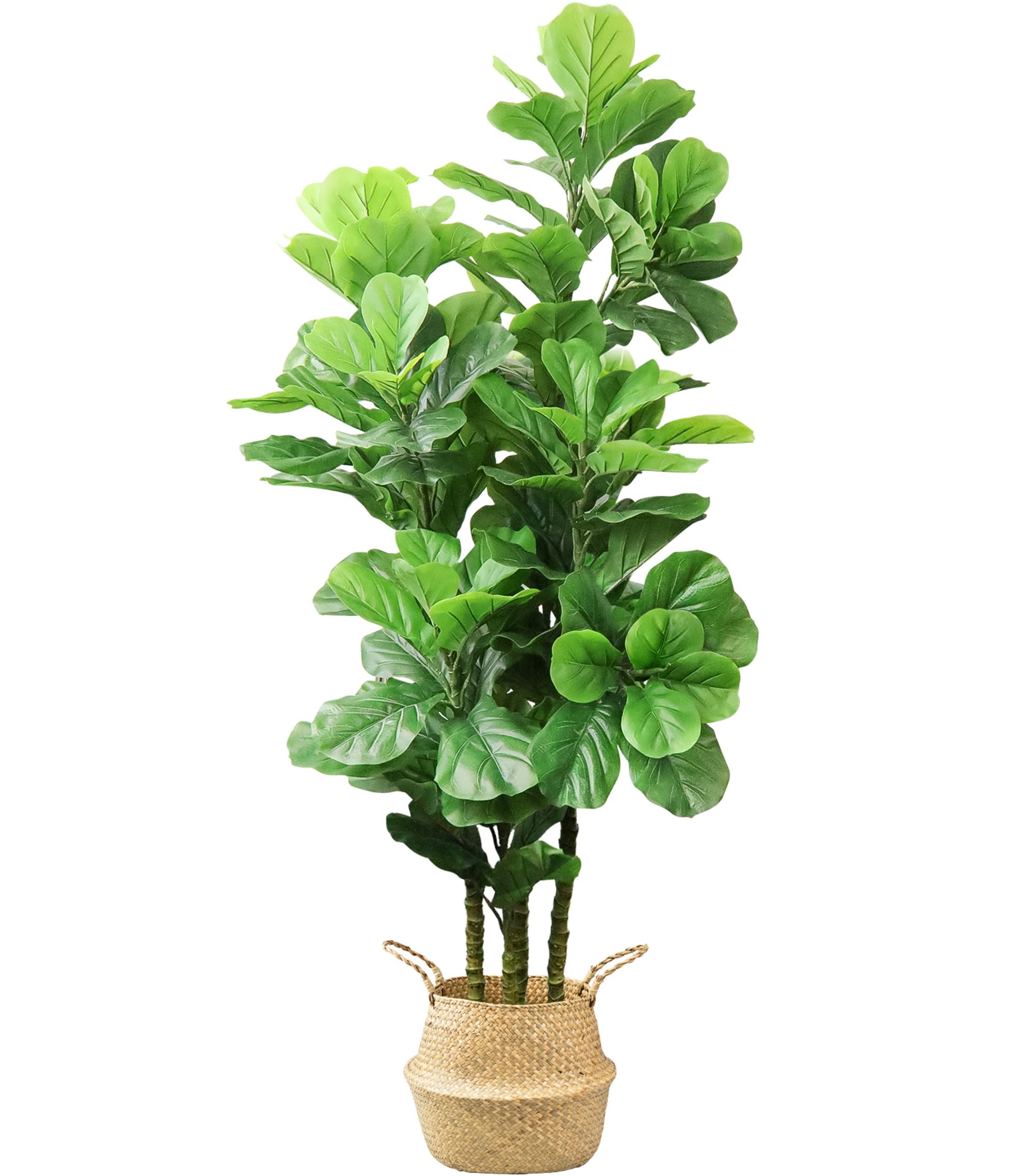 LOVMOR 6ft Artificial Fiddle Leaf Fig Tree in Woven Seagrass Basket - 70 Inch Tall Fake Plant for Indoor Home Decor, Living Room, Office & Floor Decor - Perfect for Housewarming Gifts, Apartment Decor & Interior Design