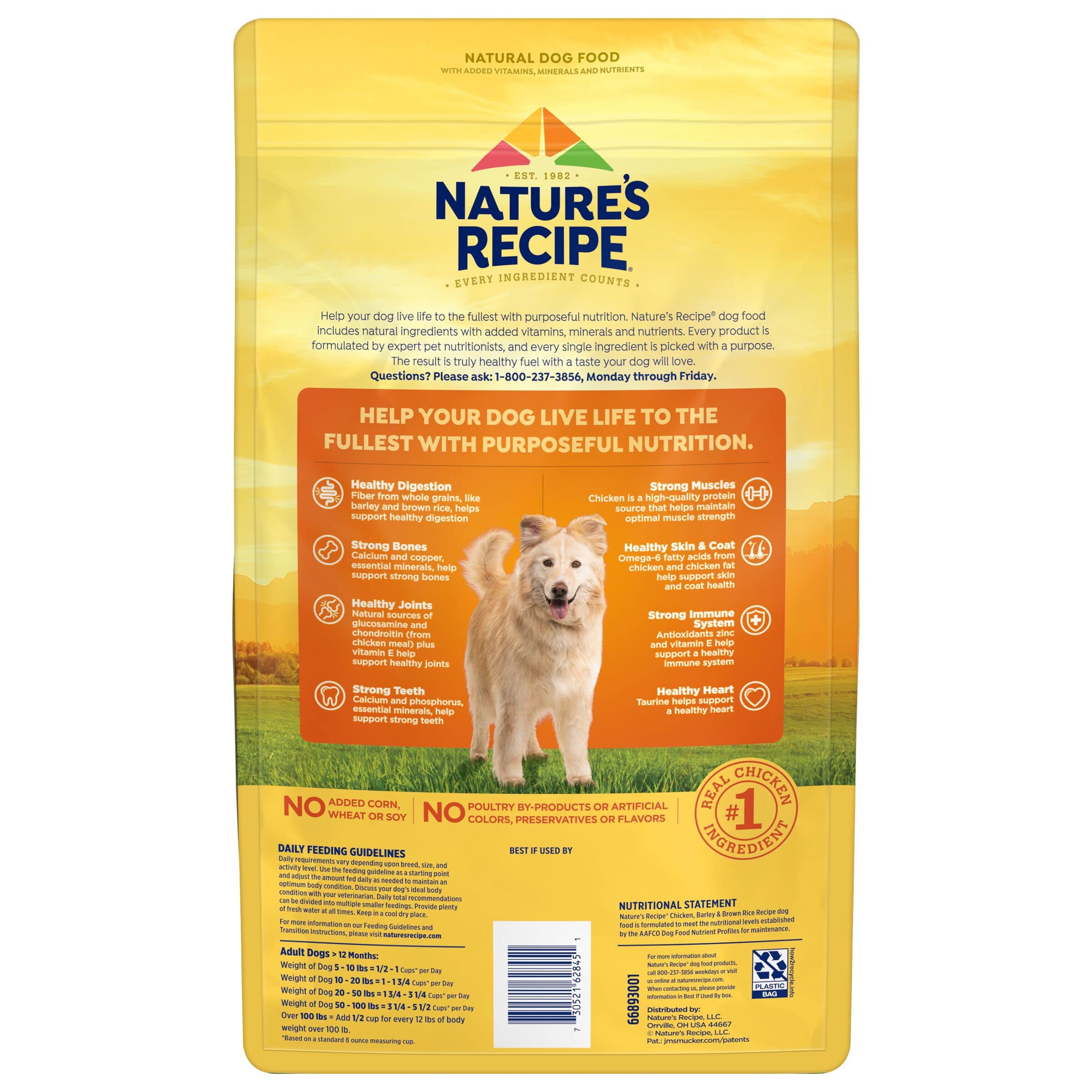 Nature's Recipe Chicken, Barley & Brown Rice Dry Dog Food - 4 lb Bag | High Protein Natural Kibble for Adult Dogs | Perfect for Daily Meals & Training Treats