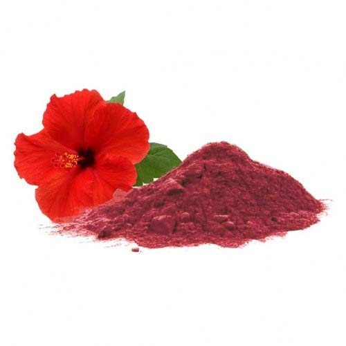 Organic Hibiscus Powder 100g | Natural & Pure | for Smoothies, Tea, Skincare & DIY Beauty Recipes