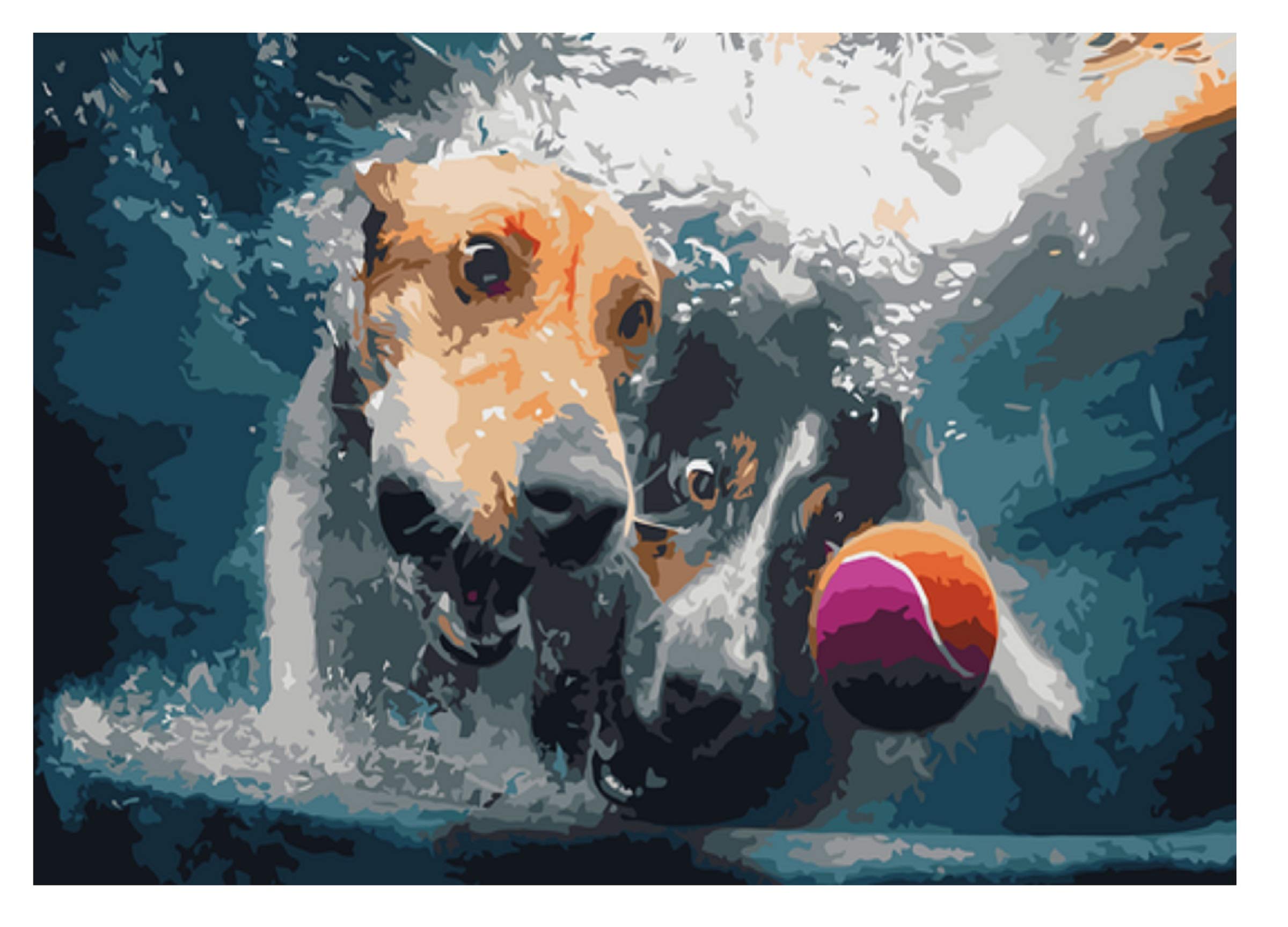 Underwater Dogs Paint by Numbers Kit for Adults & Kids - DIY Acrylic Painting with Brushes & Canvas - Beginner-Friendly Artist Photo Series | Perfect for Home Decor, Gifts, and Relaxation