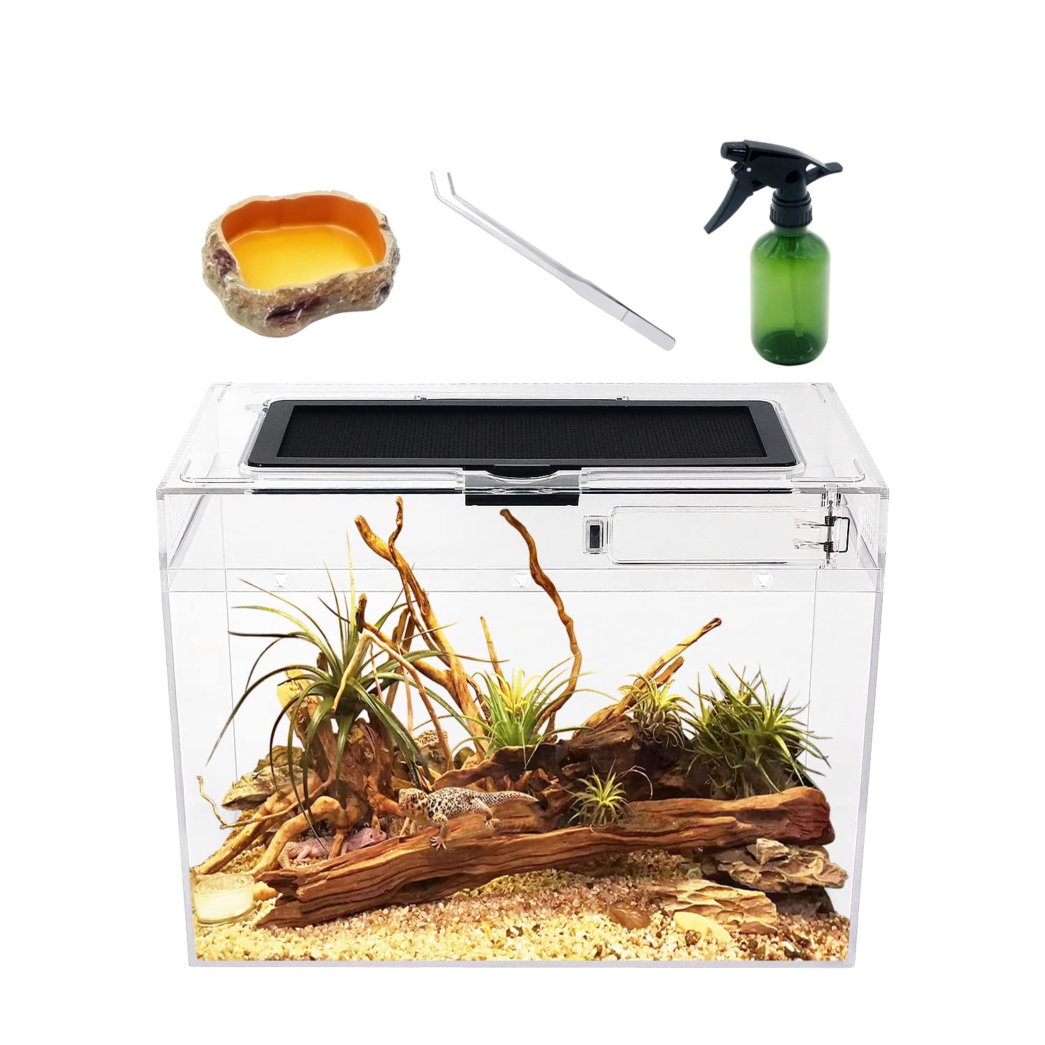 12x7x9 Inch Mini Reptile Terrarium Tank - Clear Full View Enclosure for Insects, Fish, Tarantulas, Hermit Crabs & Small Pets | Perfect Habitat for Jumping Spiders, Leopard Geckos, Frogs & Bearded Dragons | Ideal for Home, Office or Classroom Reptile Displays