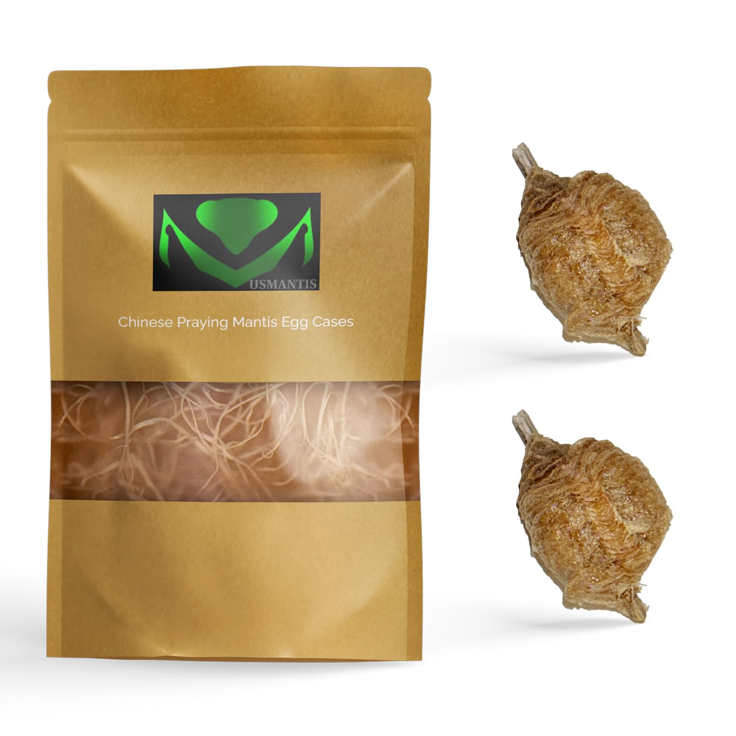 Chinese Praying Mantis Ootheca Egg Cases (2 Pack) - Hatching Habitat Bag with Transparent Window, Each Contains Up to 400 Baby Nymphs - Perfect for Garden Pest Control, Science Education & Insect Enthusiasts