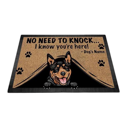 Australian Kelpie