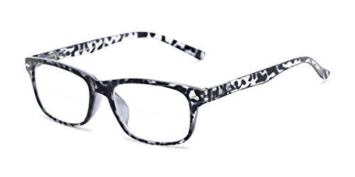 Black Tortoise