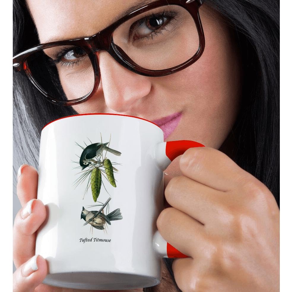 3D Rose 11oz Coffee Mug - Tufted Titmouse by John James Audubon | John James Audubon Collection | Funny Novelty Gift for Bird Lovers & Coffee Enthusiasts | Perfect for Home, Office or Outdoor Use