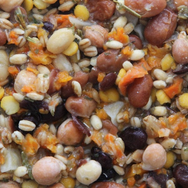 Premium Higgins Worldly Cuisines Inca Bean Salad - Nutritious Bird Food Appetizer for Parrots & Small Birds | Perfect for Treats, Training & Foraging Enrichment