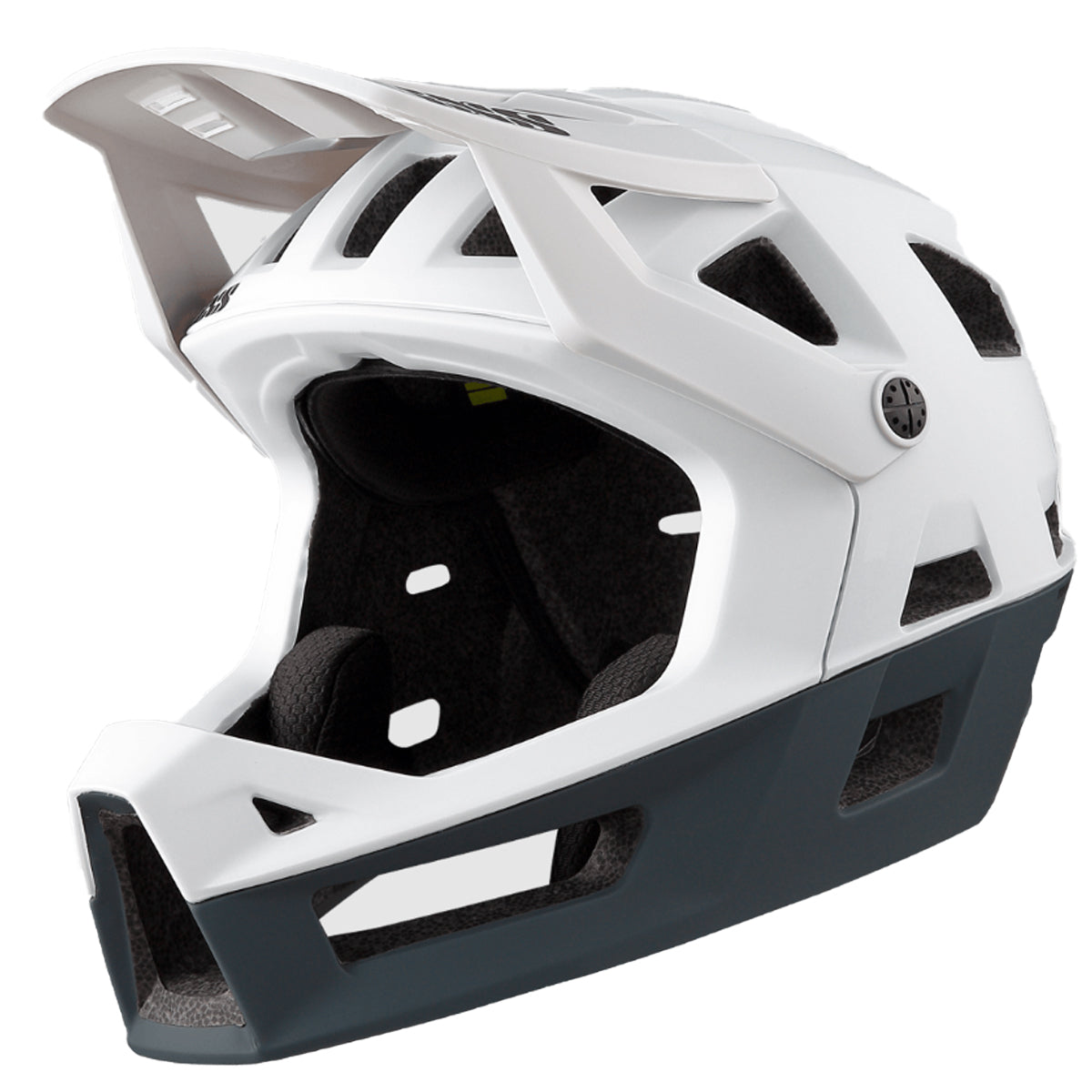 iXS Trigger Full Face Helmet - Lightweight MTB & Downhill Bike Helmet with Non-MIPS Protection - Perfect for Mountain Biking, Trail Riding & Extreme Cycling Adventures