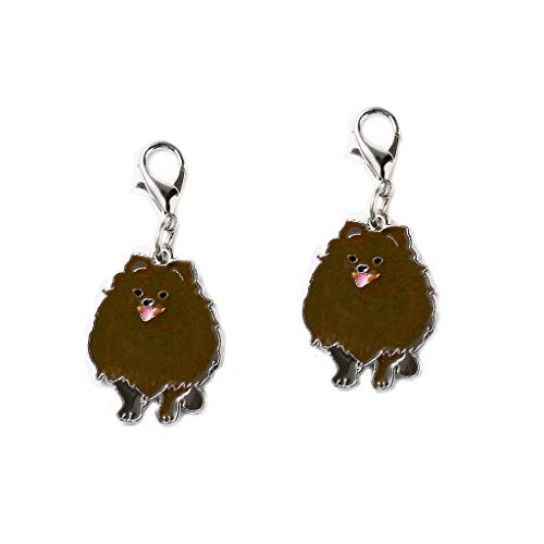 Brown-pomeranian
