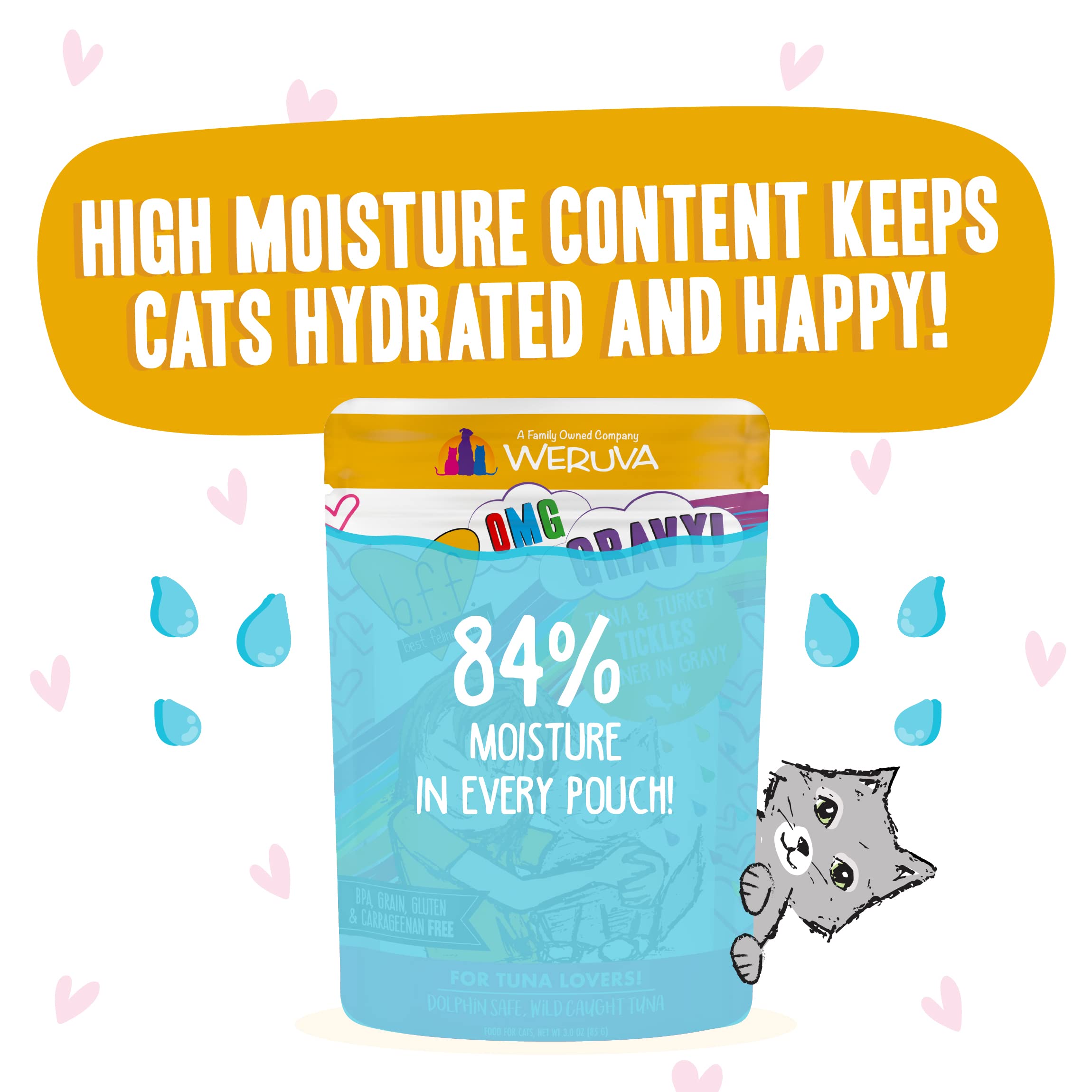 Weruva B.F.F. OMG Best Feline Friend Oh My Gravy! Tuna & Turkey in Gravy Cat Food - Grain-Free, High Protein Wet Cat Food for Adult Cats, 3oz Pouch (Pack of 12) - Perfect for Mealtime, Travel & Treats
