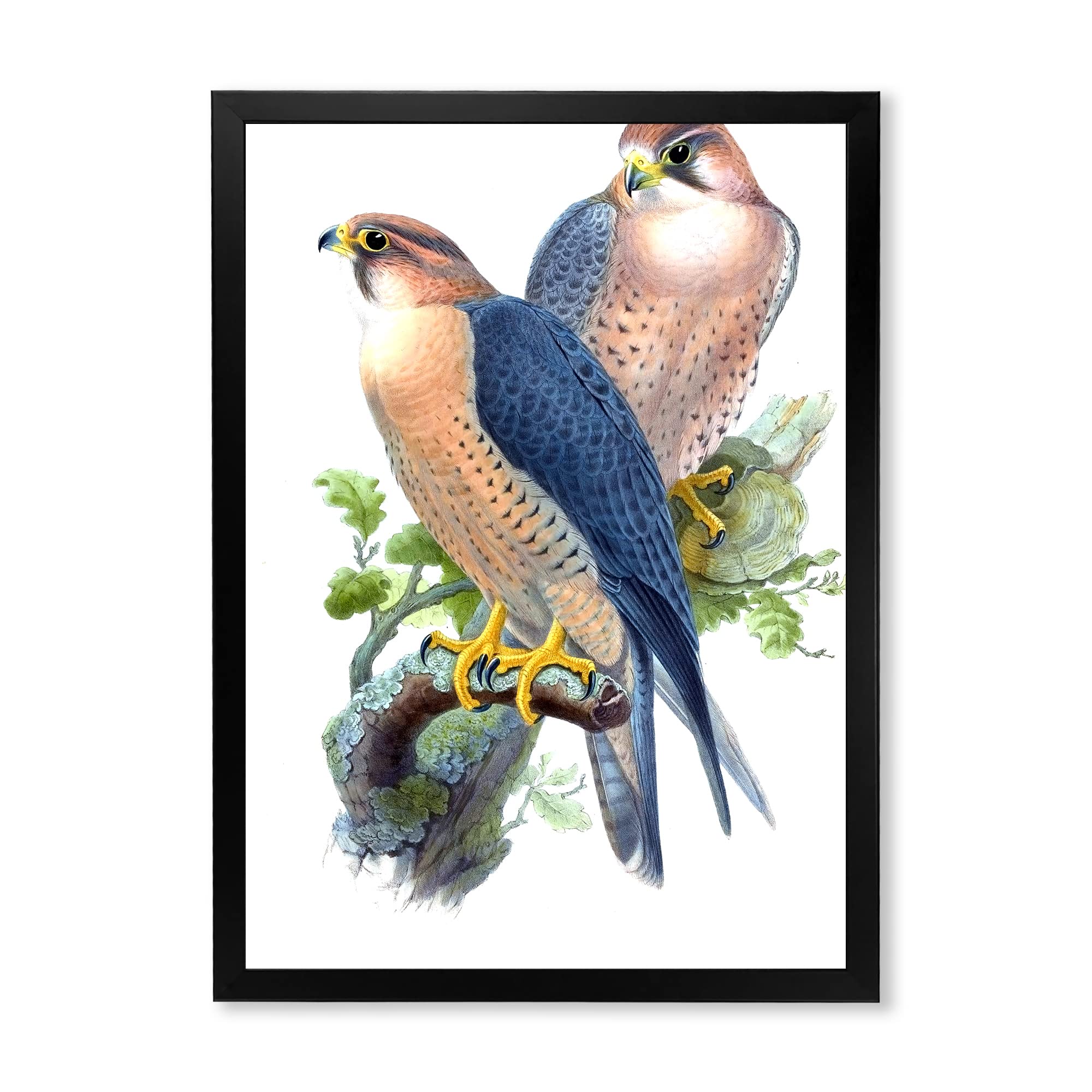 Vintage Birds II Traditional Framed Wall Art - Hand-Painted Canvas Home Decor for Living Room, Bedroom & Office - Perfect Gift for Housewarming & Holidays
