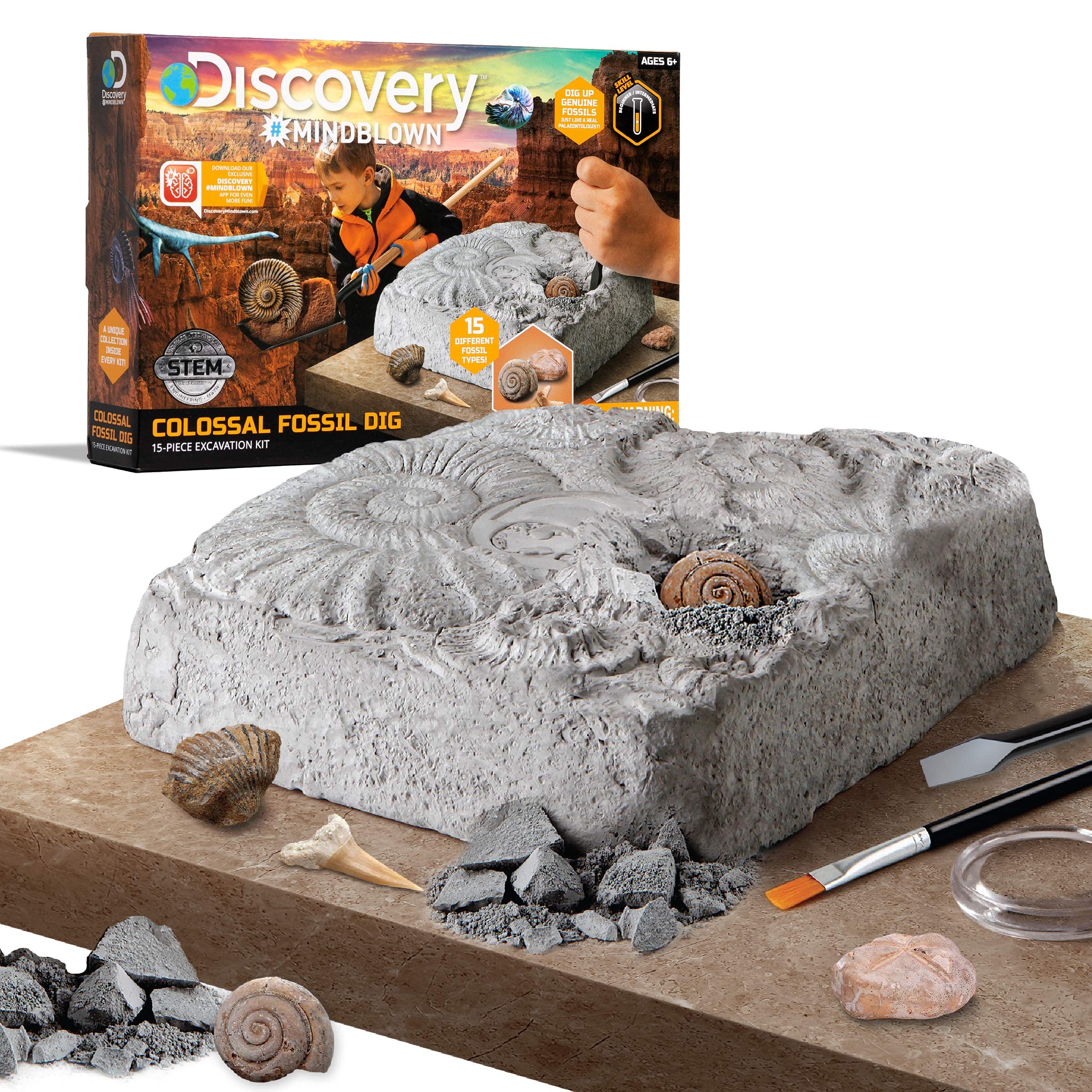 Discovery #MINDBLOWN Colossal Fossil Dig Kit - 15-Piece Archaeology Excavation Set with Real Shark Teeth & Unique Fossils - STEM Educational Toys for Kids - Perfect for Science Projects & Birthday Gifts