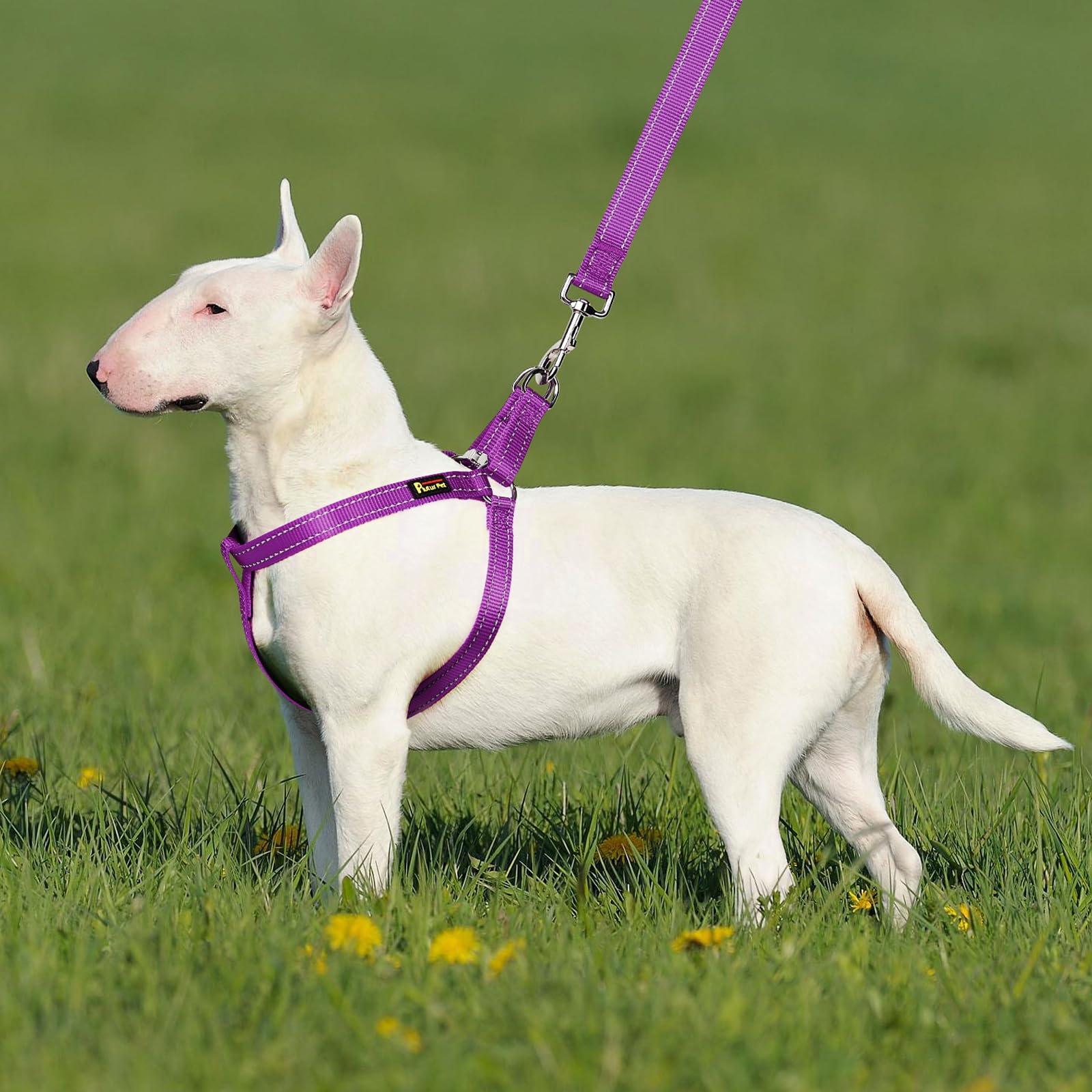 Plutus Pet Step-in Dog Harness - Reflective Adjustable Dog Vest with Metal Buckles for Small Medium Large Dogs - Quick Fit Secure Puppy Harness in Purple Size S - Perfect for Walking Running Hiking Training