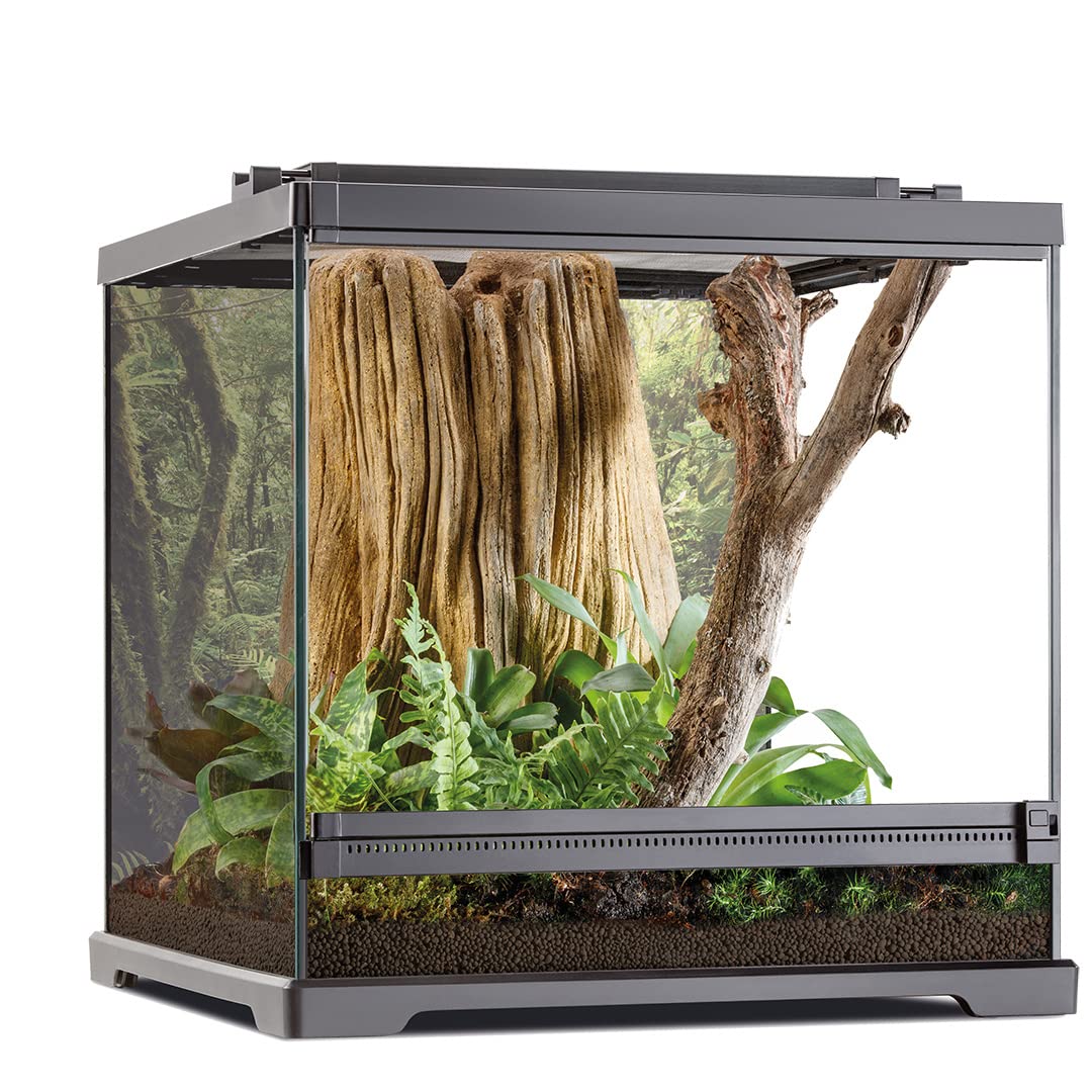 Exo Terra Dart Frog Terrarium Kit - 18x18x24 Inches Glass Reptile Habitat with Rainforest Décor for Poison Dart Frogs, Tree Frogs & Amphibians - Perfect for Home, Office or Classroom Vivarium Setup