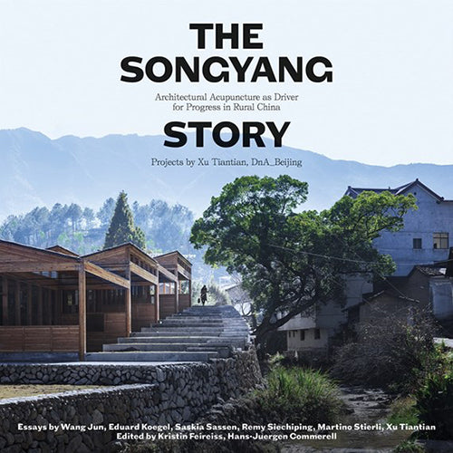 The Songyang Story: How Architectural Acupuncture Drives Rural China's Socio-Economic Development | Urban Planning & Rural Revitalization Case Study