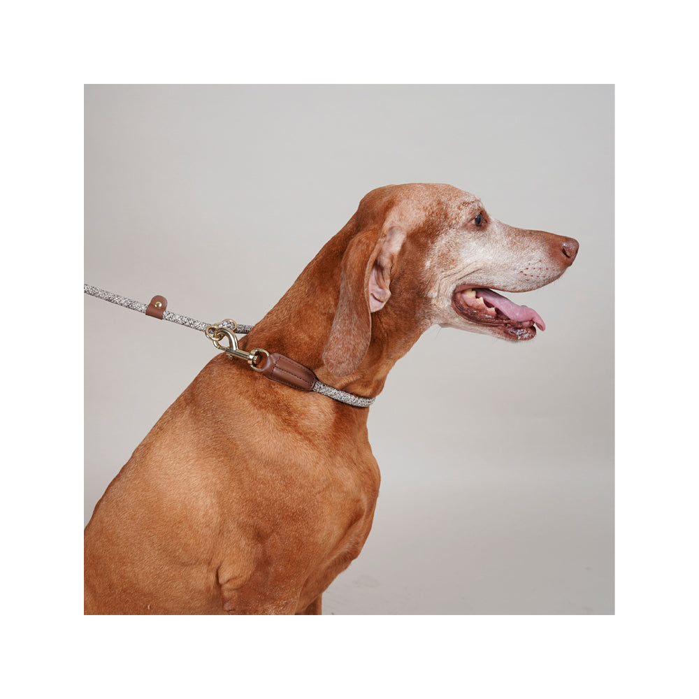 Hands-Free Shoulder Dog Leash for Walking, Running & Hiking - Adjustable Metro Pet Leash for Small to Large Dogs - Comfortable No-Hold Leash for Active Owners