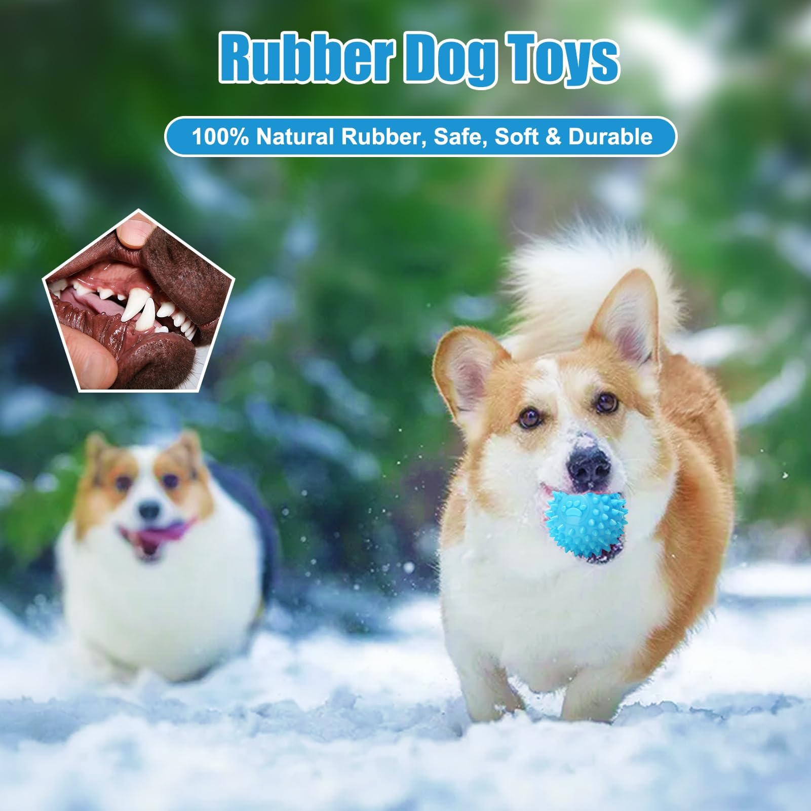 6 Pack Puppy Chew Toys for Teething Small Dogs - Soft Rubber Interactive Puppy Toys for Small & Medium Breeds (Pink & Blue) - Perfect for Teething Relief, Boredom Busters & Training Rewards