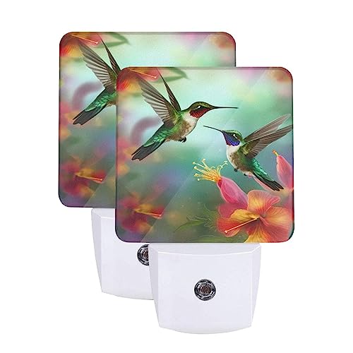 Hummingbirds Floral