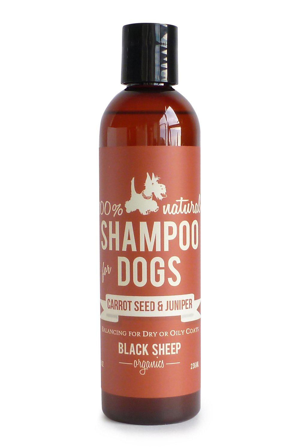 Organic Carrot Seed & Juniper Shampoo for Dogs - Natural Oil Balancing Formula for Dry or Oily Coats | Gentle Cleansing for Healthy Skin & Shiny Fur