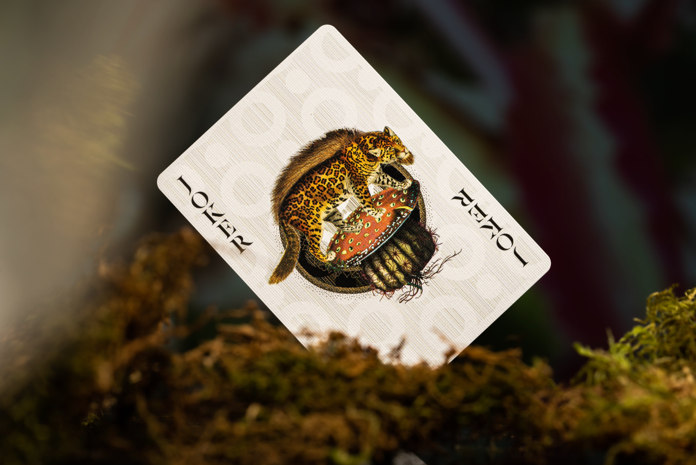 Extinct Animals Moooi Playing Cards - Premium Deck for Card Games, Magic Tricks & Collectors - Perfect for Game Nights, Gifts & Educational Use