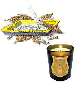 Luxury Ernesto Scented Candle 9.5 oz by Cire Trudon - Elegant Home Decor & Romantic Gift for Holidays, Weddings & Relaxation