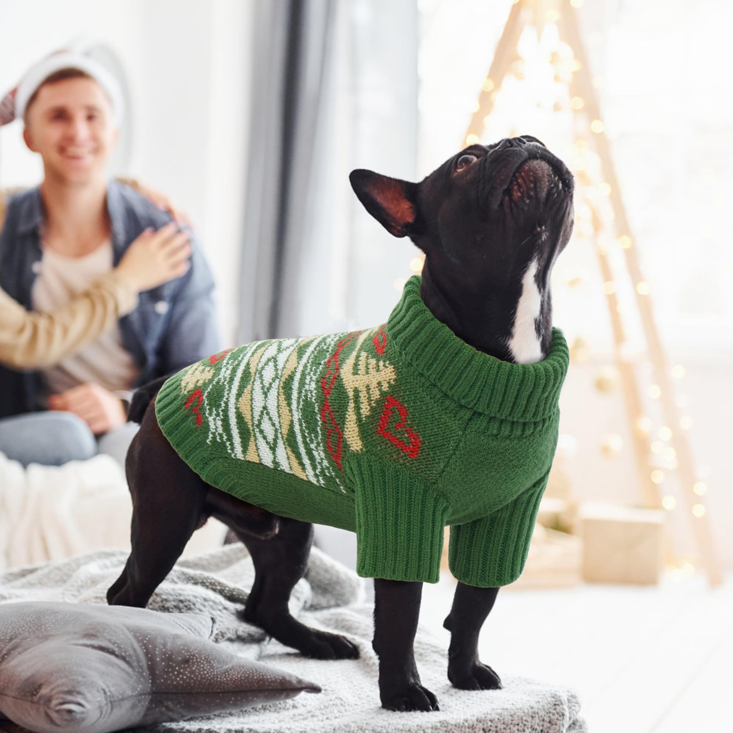 PUMYPOREITY XL Green Dog Christmas Sweater - Warm Turtleneck Winter Outfit for Large Dogs (Beagle, Corgi) | Soft Holiday Pet Clothing for Christmas Photos & Family Gatherings