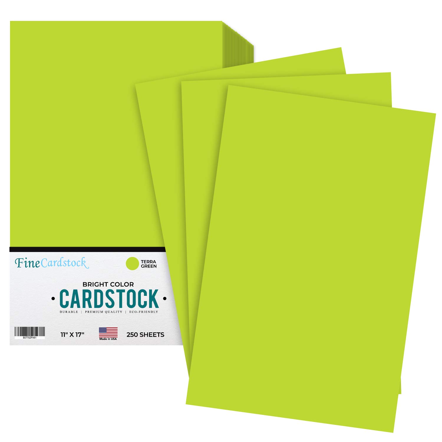 Premium 65-lb Thick Cardstock Paper - 250 Sheets Pack | Acid-Free & Lignin-Free Terra Green Color | 11
