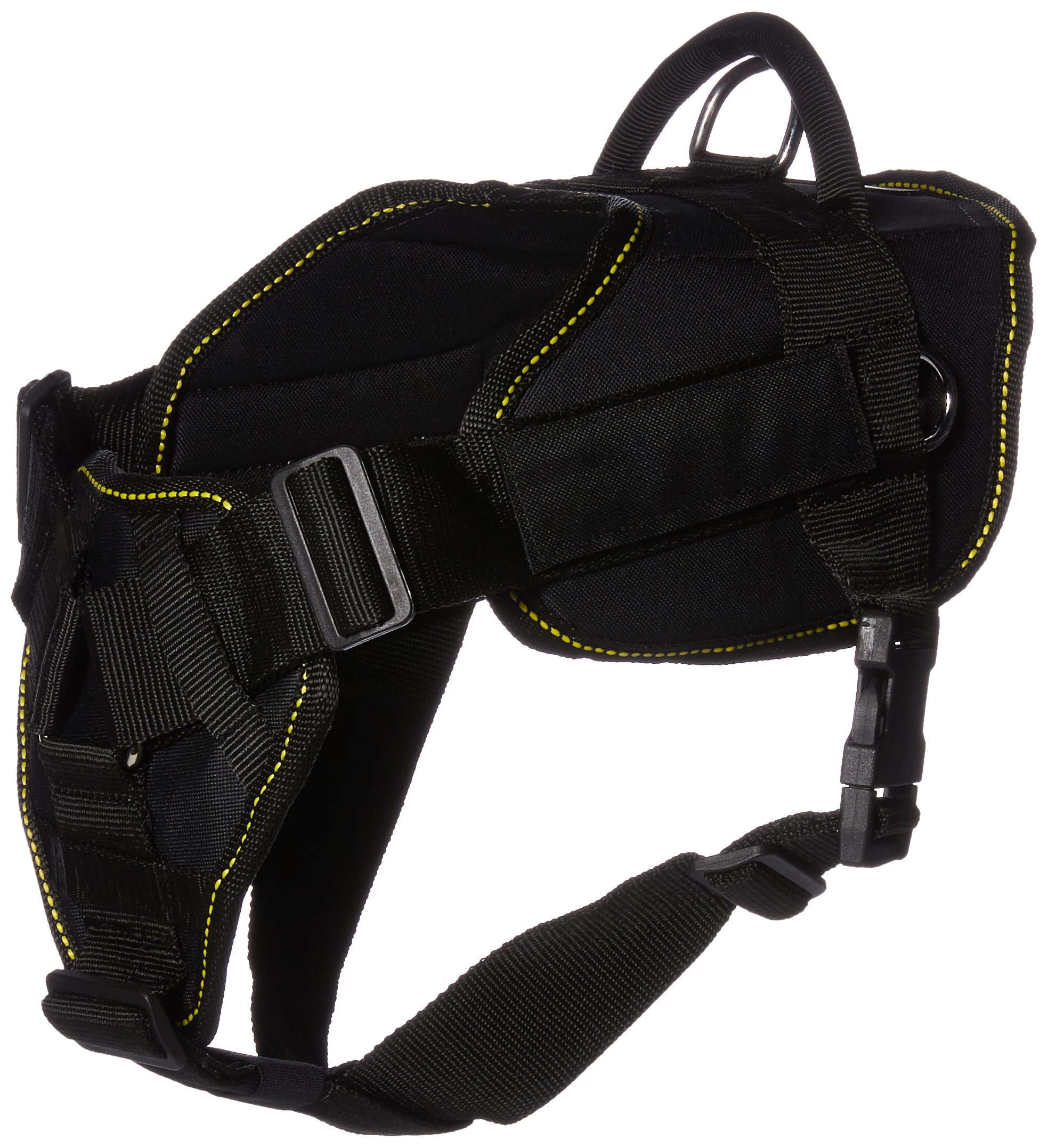 Dean & Tyler DT Fun Chest Support Harness for Dogs - Medium Size with 6ft Padded Leash | Adjustable Pet Harness for Walking, Training & Outdoor Adventures