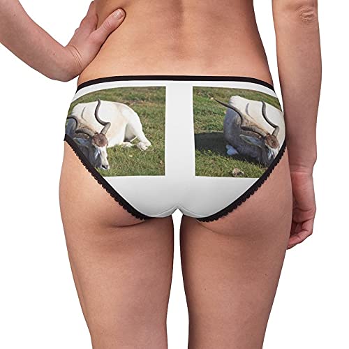 Addax Women's Cotton Briefs - Soft & Comfortable Underwear for Everyday Wear - Funny & Stylish Panties for Work, Gym & Relaxation
