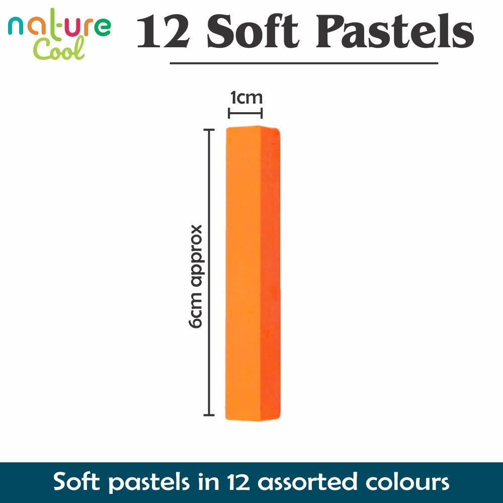 12 Assorted Soft Pastels Set - Non Toxic Chalk Pastel Sticks for Art Drawing, Scrapbooking | Ideal for Beginners, Kids & Professional Artists | Perfect for Classroom, Home Studio & DIY Craft Projects