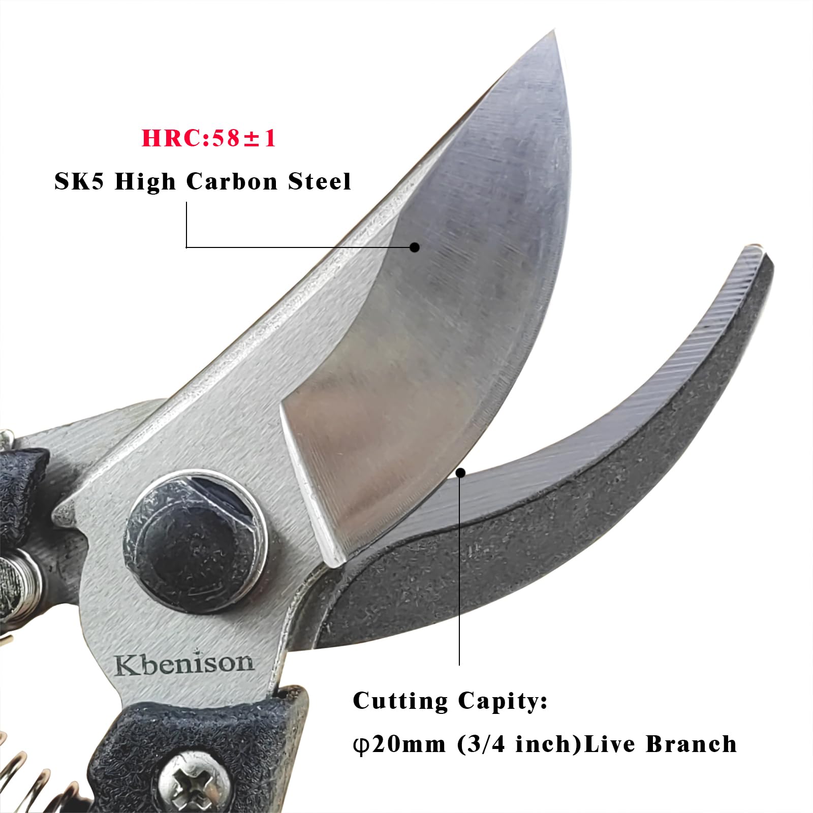 Sharp 8