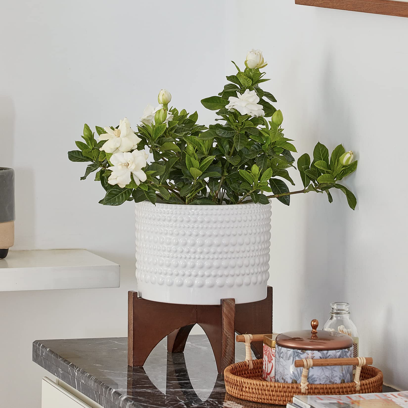 LA Jolie Muse 8 Inch White Ceramic Planter with Wood Stand - Cylinder Embossed Hobnail Pattern Flower Pot for Indoor Plants | Perfect for Home Decor, Office Desk, and Living Room Decorations