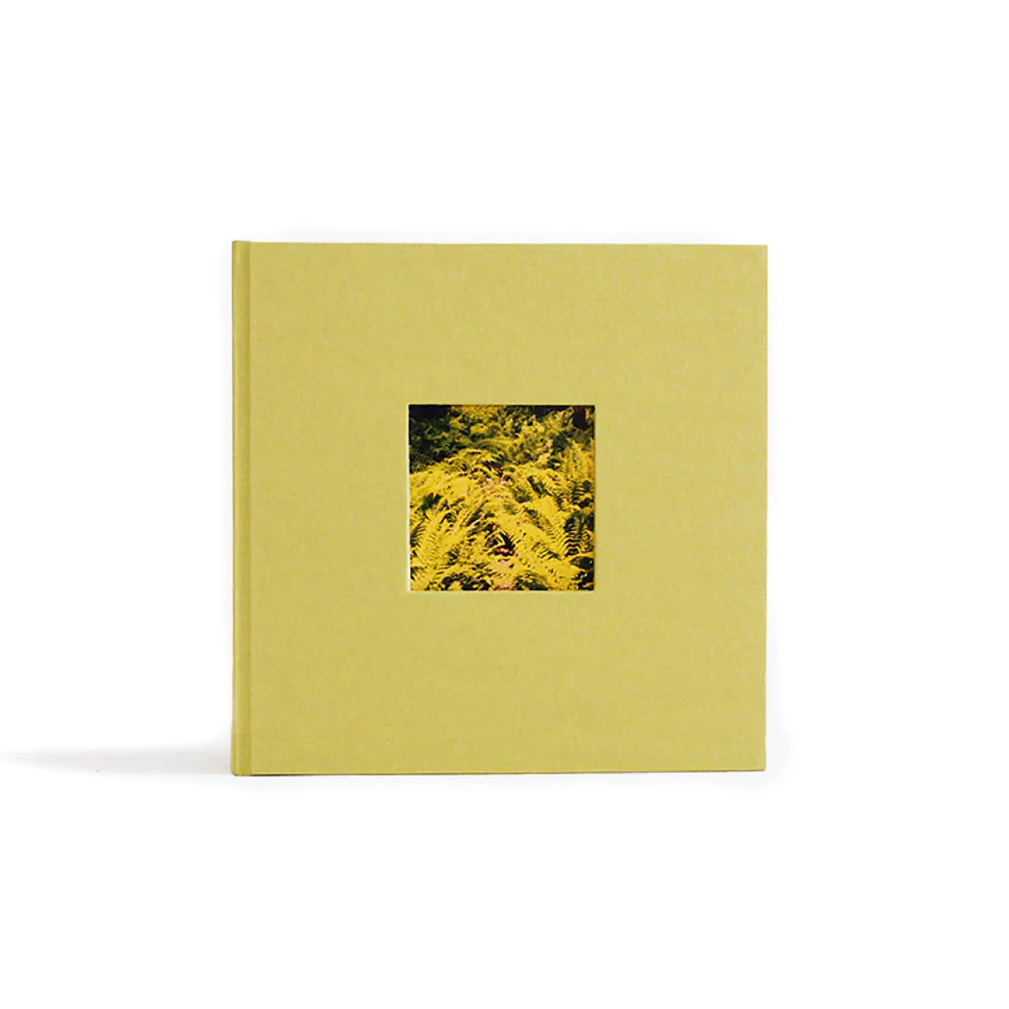 Chartreuse