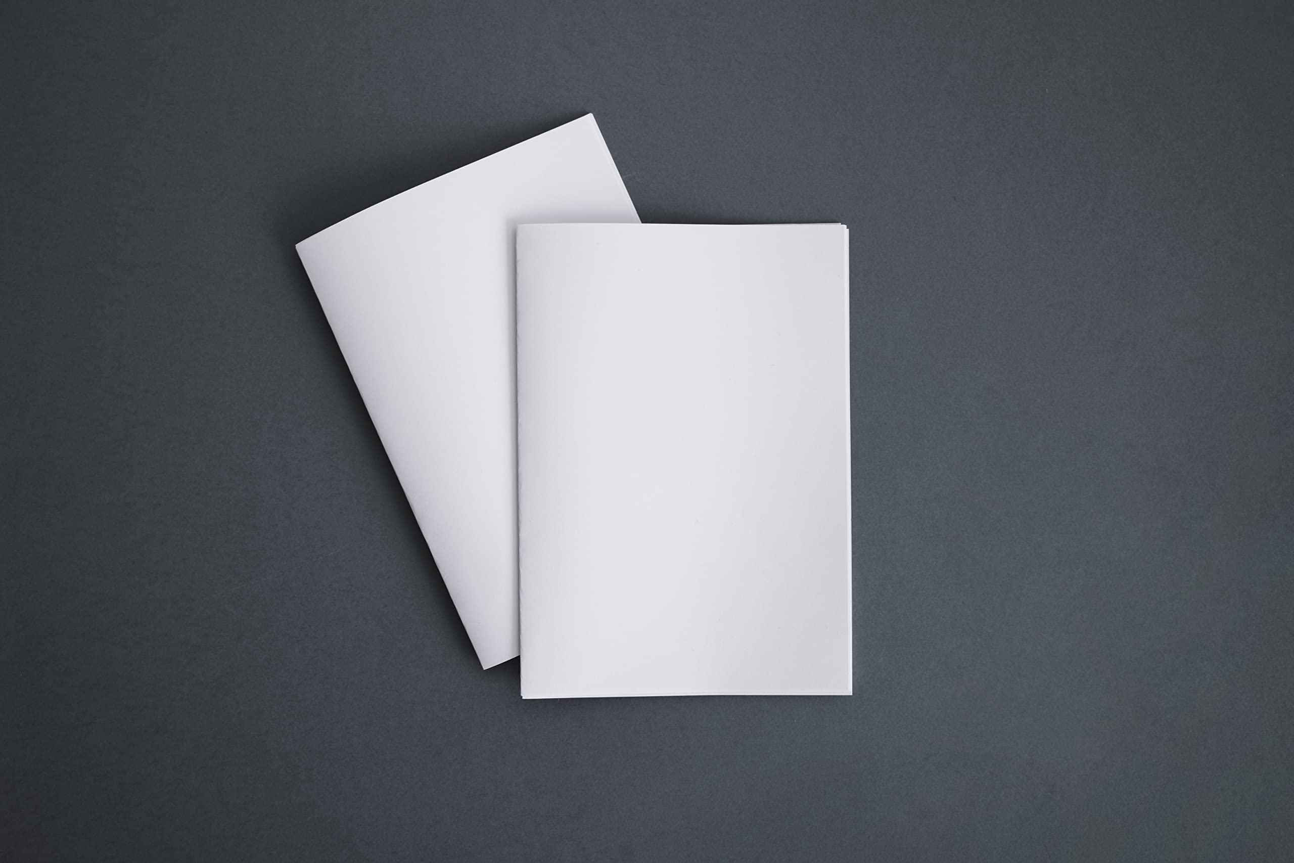Premium A4 Printer Paper - 90 GSM / 24 lb Bright White Copy Paper for Laser & Inkjet Printers - 100 Sheets - Ideal for Office Documents, School Projects & Professional Printing