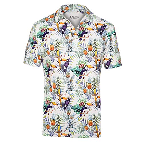 Toucan