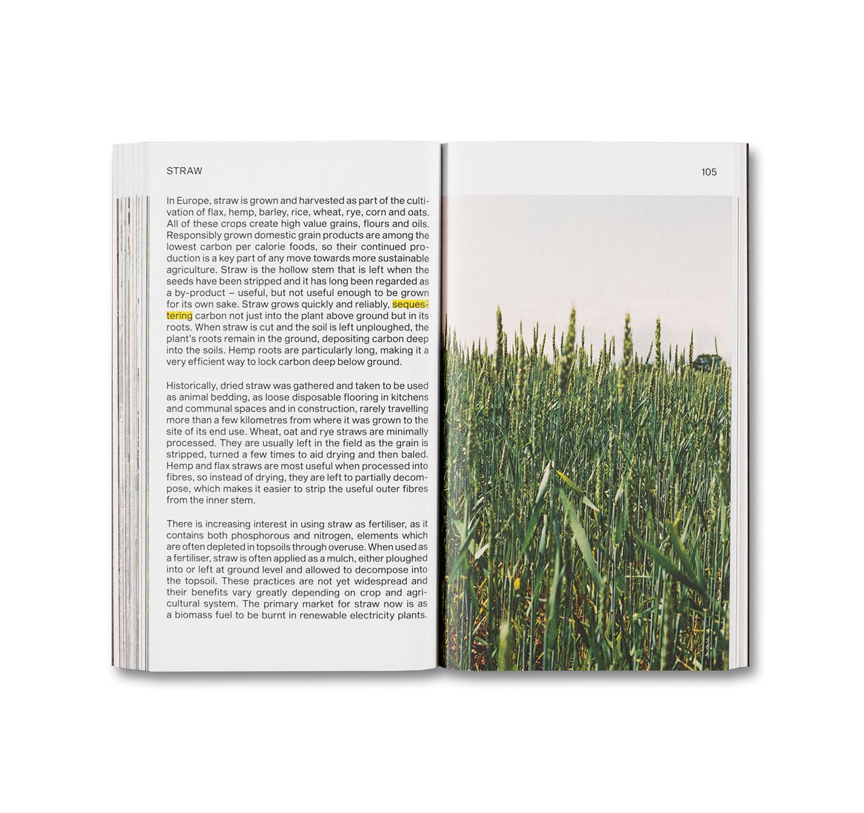MATERIAL REFORM: BUILDING FOR A POST CARBON FUTURE by Material Cultures - Sustainable Architecture Book for Eco-Friendly Construction & Green Building Design - Perfect for Architects, Urban Planners, and Environmental Designers
