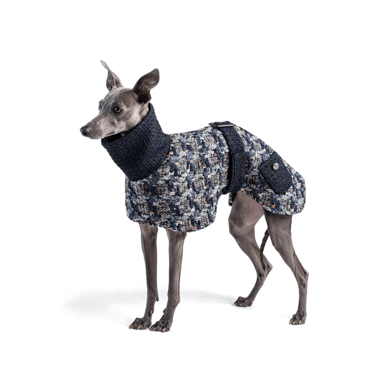 Blurred Vision Coat - Stylish & Comfortable Winter Jacket for Men & Women - Perfect for Outdoor Activities, Travel & Casual Wear