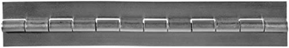 SS19 Stainless Steel Continuous Hinge - 12