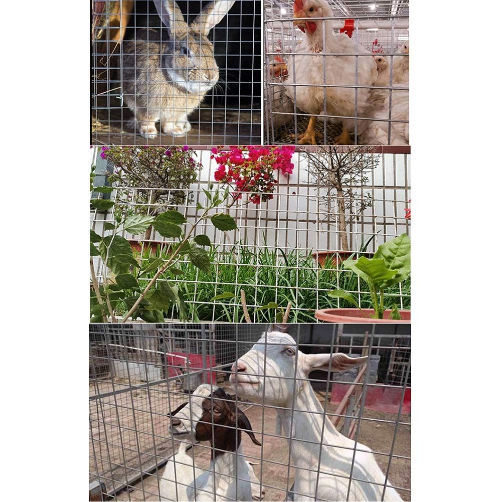 Hot-Dipped Galvanized Welded Wire Mesh Roll - 1.5x15m Silver Garden Fence, Pet Cage & Chicken Coop Barrier - Heavy Duty Hardware Cloth with Pliers for Patio, Farm & DIY Projects | Durable Outdoor Protection for Animals & Plants