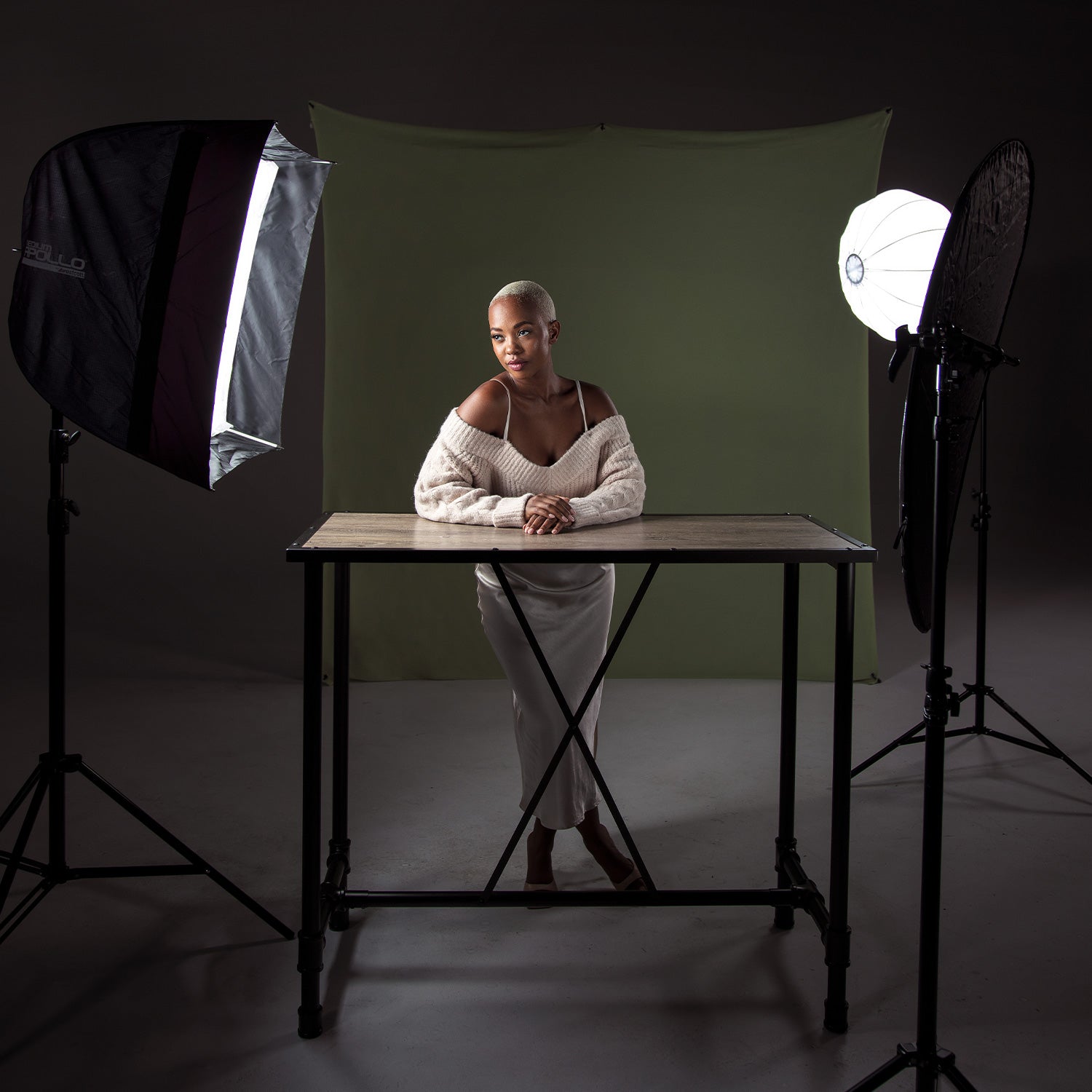 Apollo Softbox Medium with 40° Grid (28