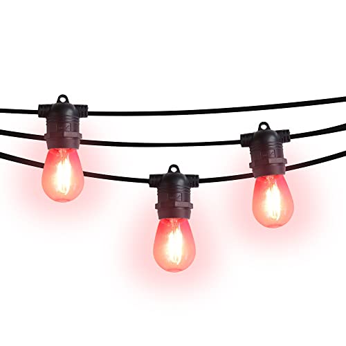 Fucshia Shatterproof LED Bulb (2W) - Black Cord