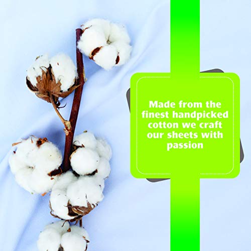 Premium 6-Piece 100% Egyptian Cotton 600 Thread Count Sheet Set - Luxurious Soft Italian Finish with 19