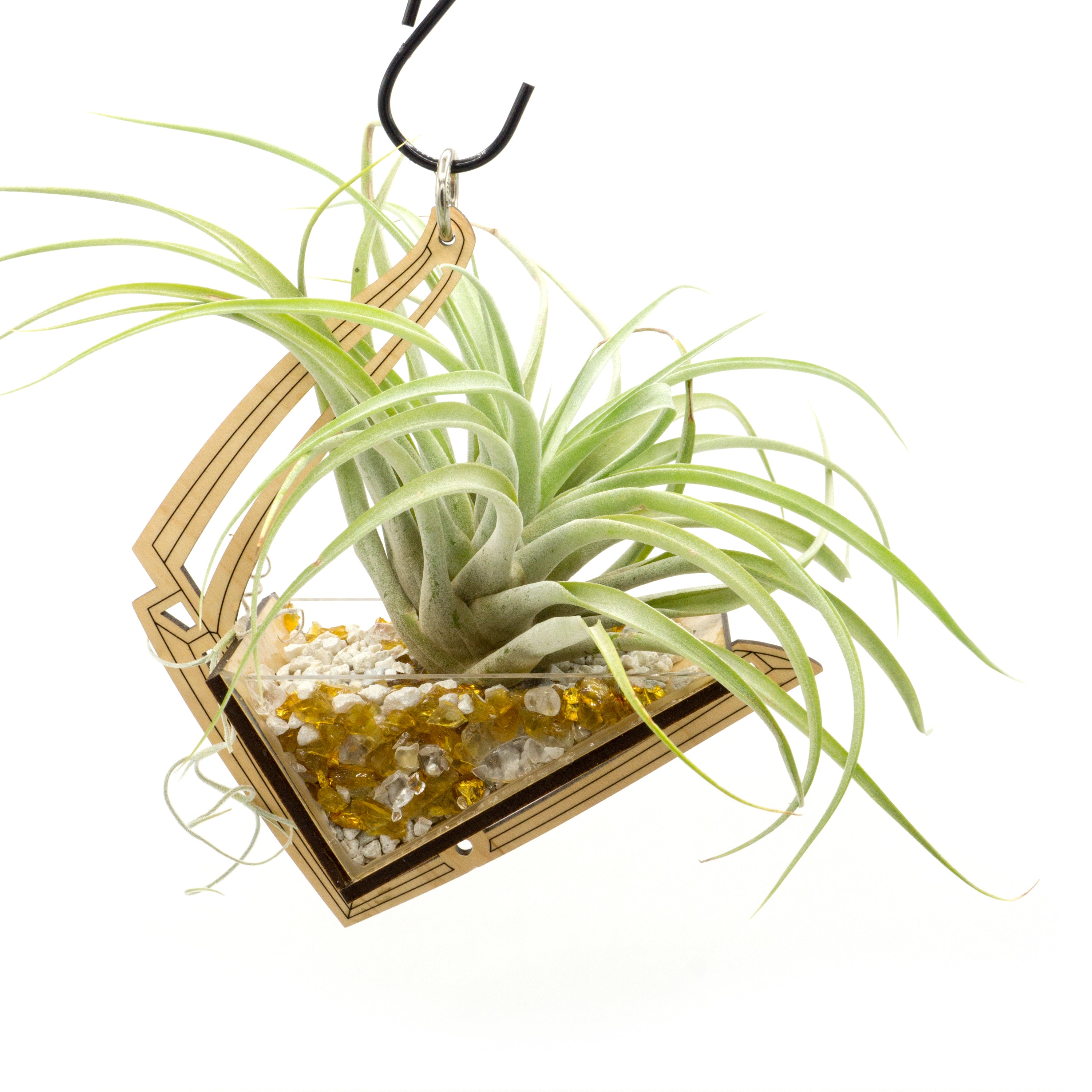 Handmade Free Hanging Air Plant Holder - Modern Boho Home Decor for Living Room, Bedroom & Office | Perfect for Tillandsia, Succulents & Small Plants