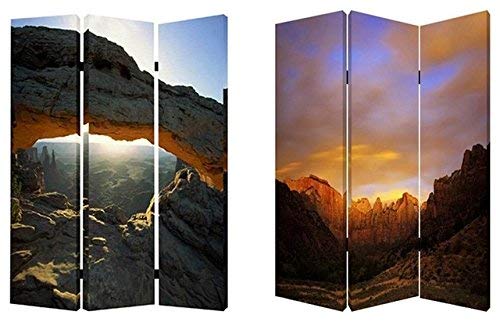 Stylish Desert-Themed Room Divider Screen - Handcrafted Rattan Partition for Home & Office Decor | Perfect for Living Rooms, Bedrooms, and Studio Spaces