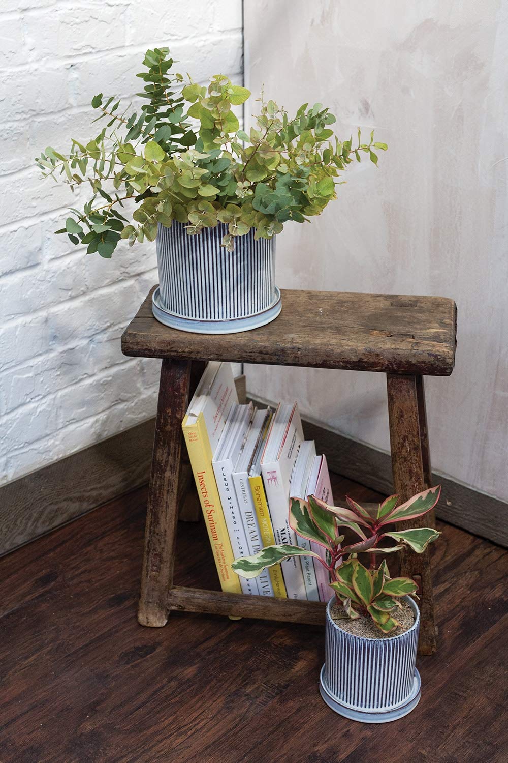 Modern Ceramic Plant Pot with Saucer - 5.75