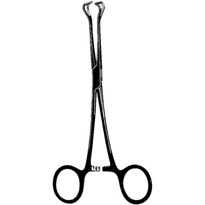 Babcock Forceps 9.5
