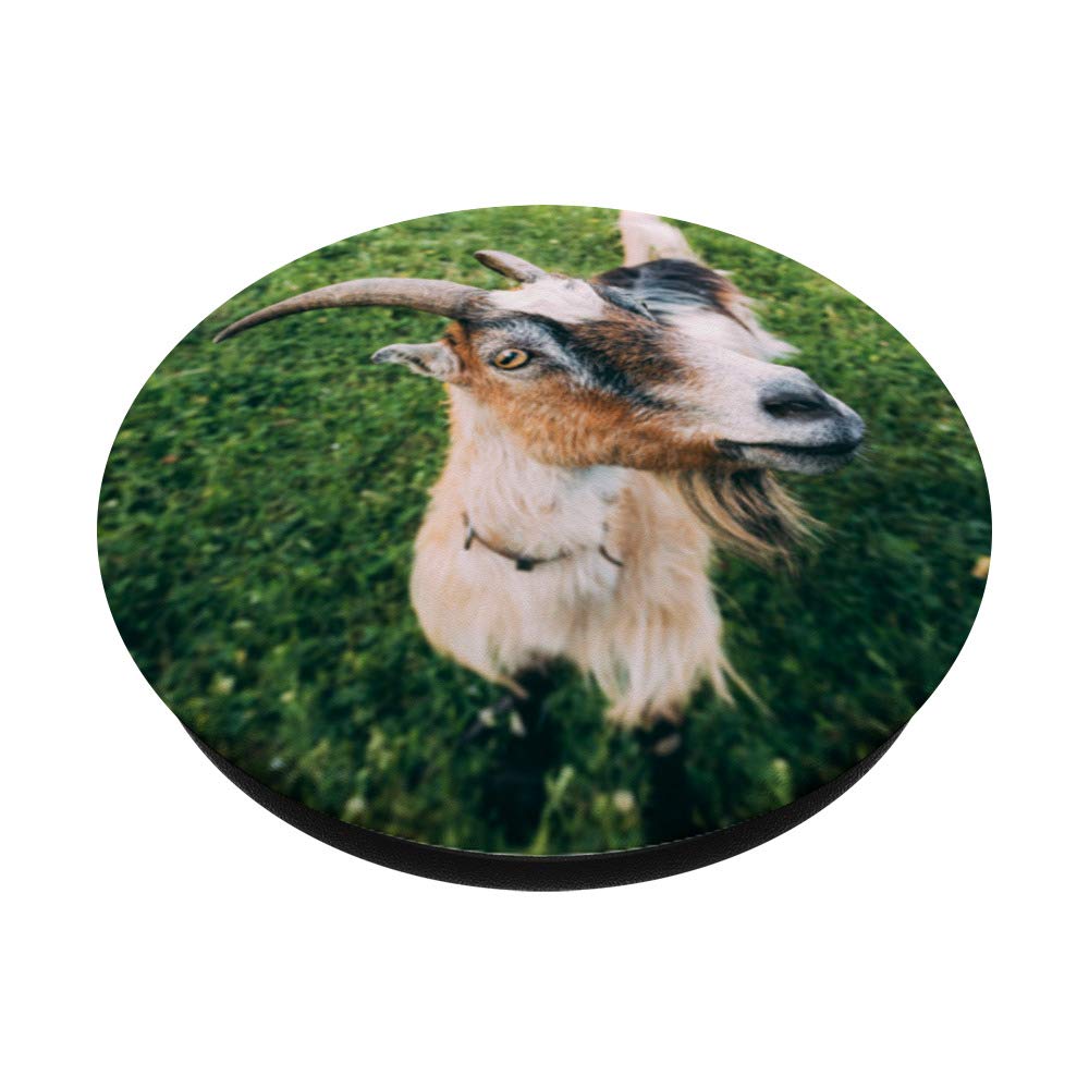 Goat Horns PopSockets - Expandable Phone Grip & Stand for iPhone, Samsung, Tablets | Anti-Slip Mobile Accessory for Gaming, Selfies & Everyday Use