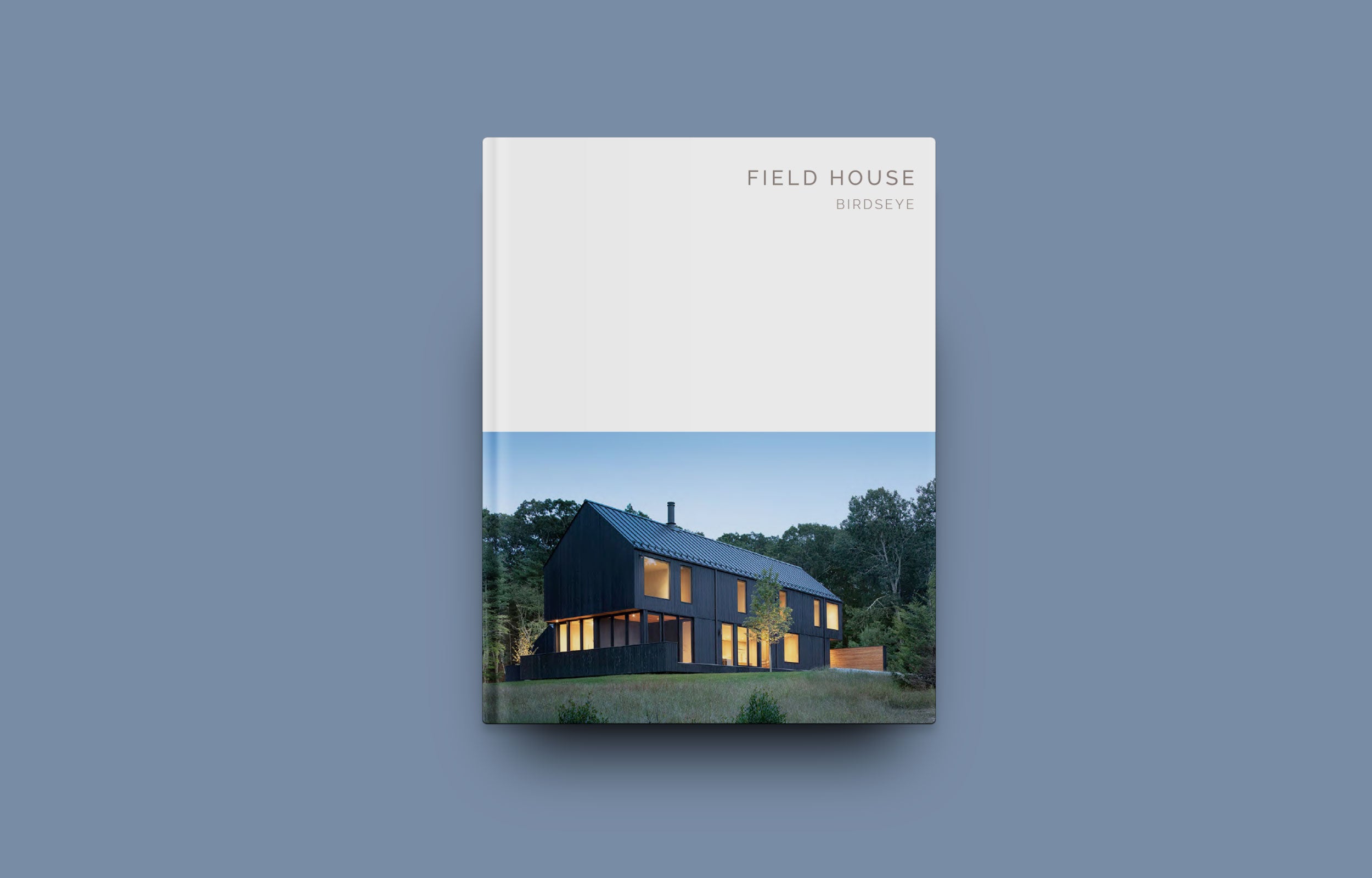 Field House: Birdseye (Masterpiece Series) - Premium Home Decor for Modern Living Rooms & Office Spaces