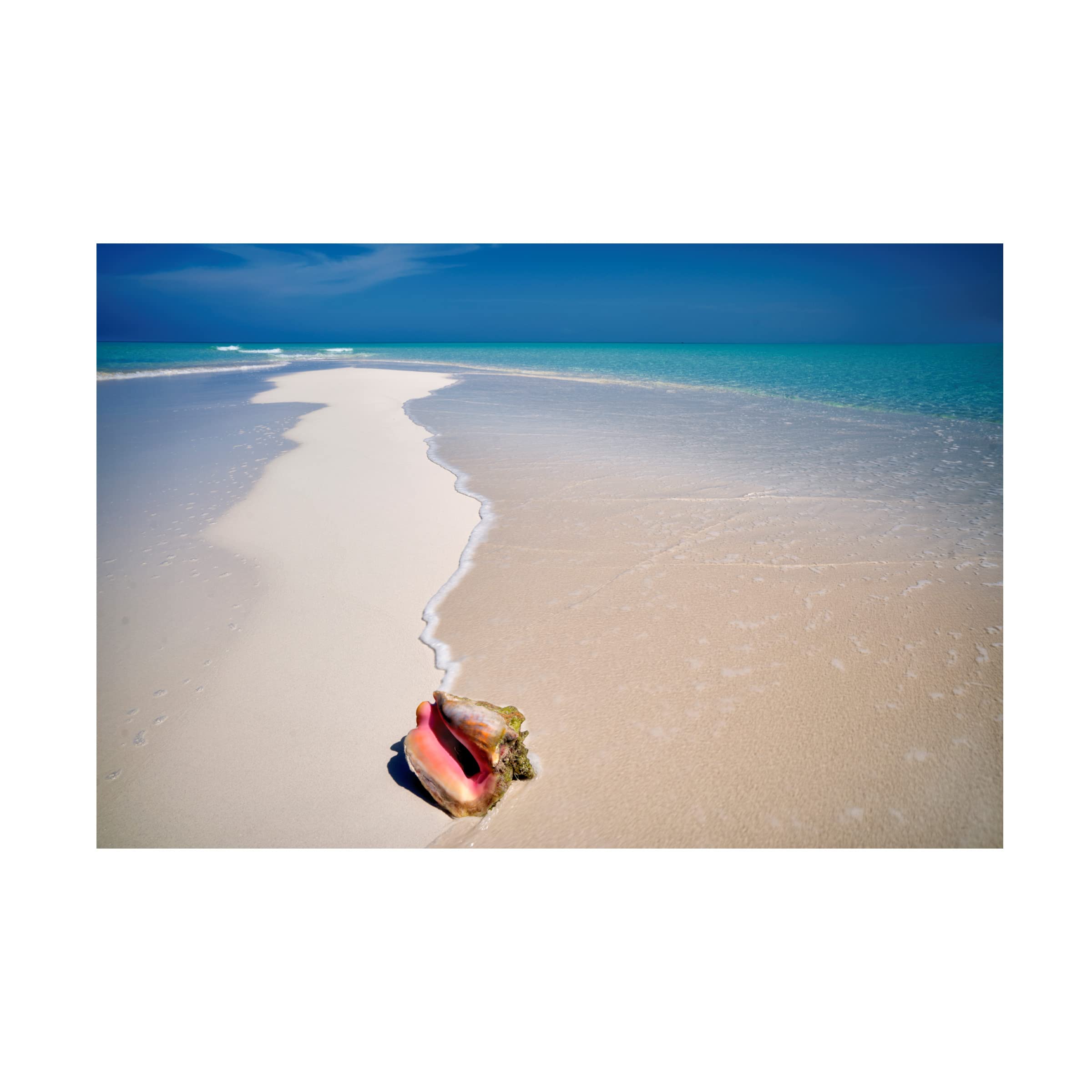 Dennis Frates 'Beach Treasures 6' Canvas Wall Art Print - Coastal Decor for Living Room, Bedroom & Office - Seascape Beach Painting for Home Decor